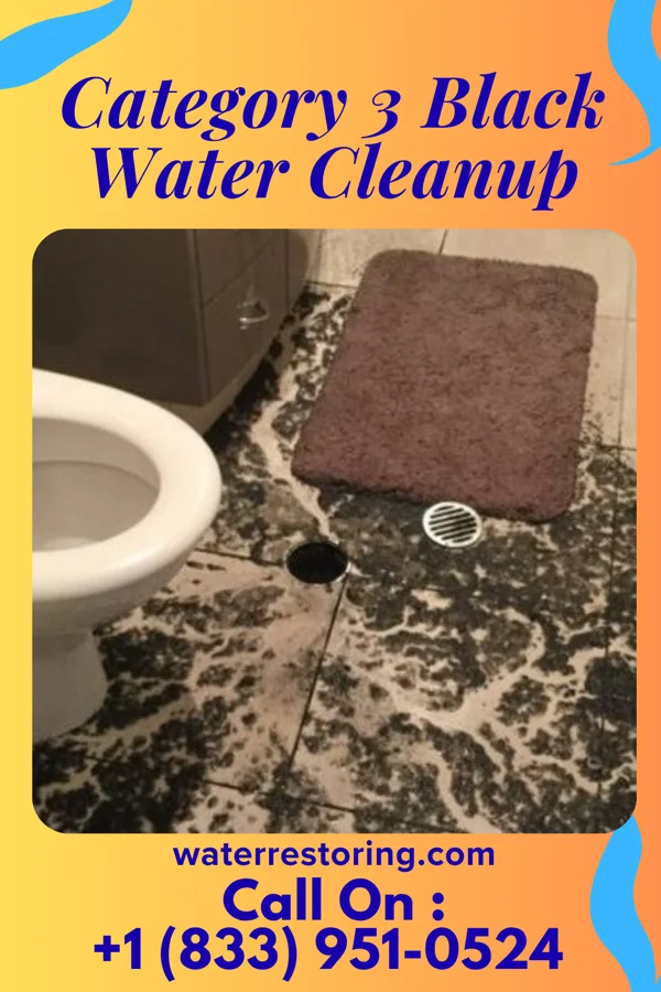 Category 3 Black Water Cleanup in Vandling, PA