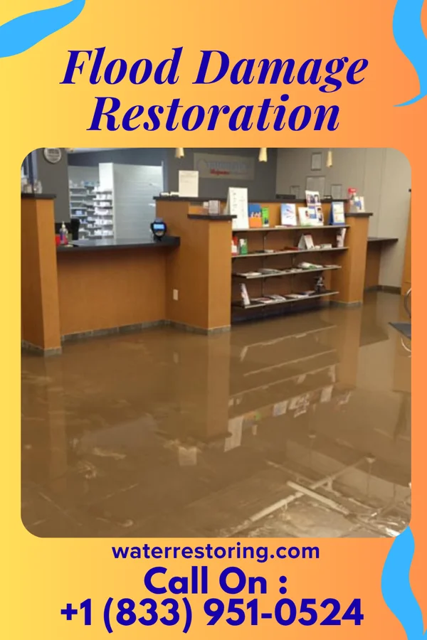 Flood Damage Restoration in Vandling, PA