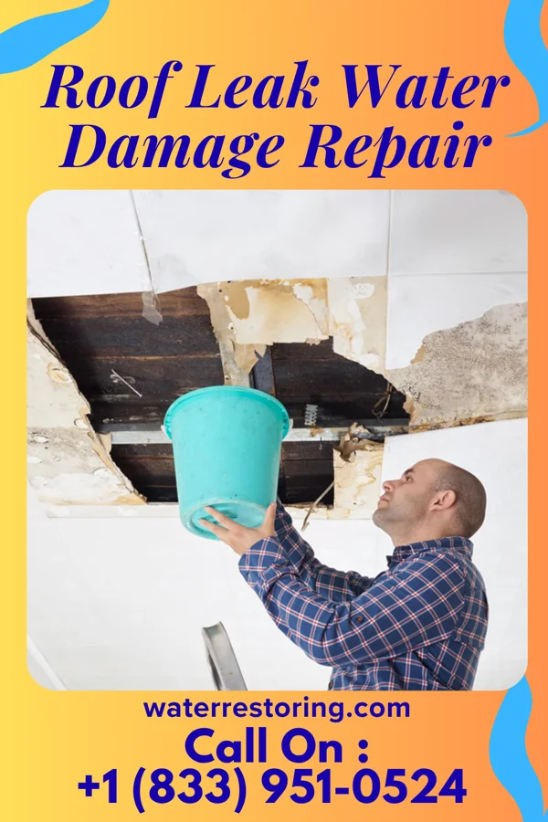 Roof Leak Water Damage Repair in Vandling, PA
