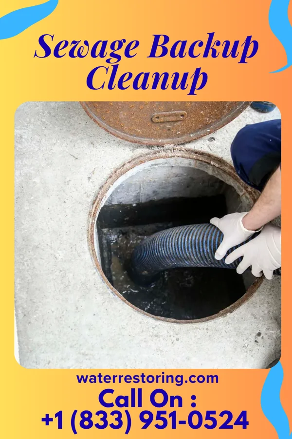 Sewage Backup Cleanup in Vandling, PA