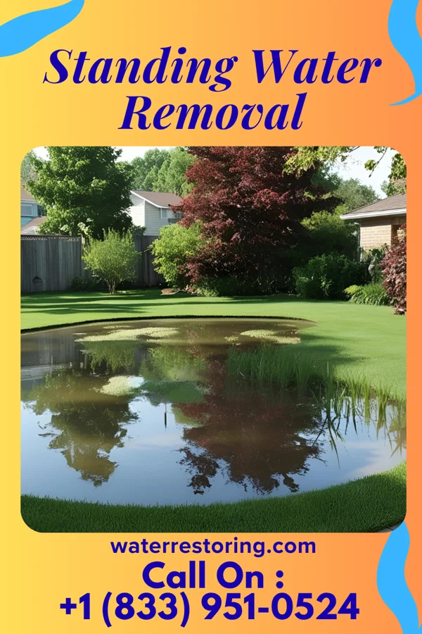 Standing Water Removal in Vandling, PA